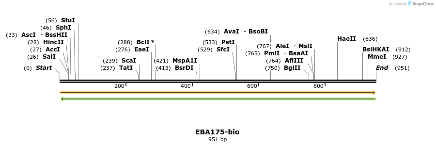 72179_map