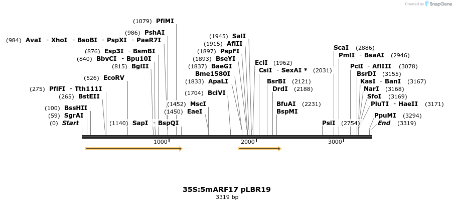 7218_map