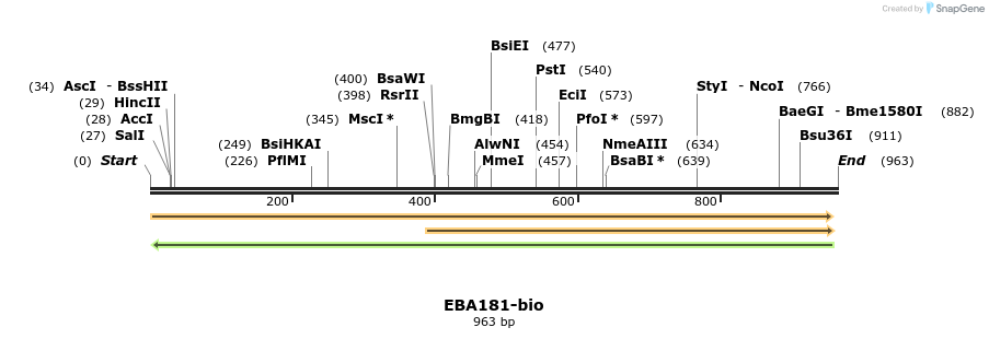 72180_map