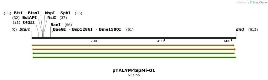 72181_map