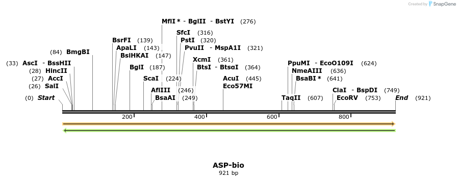 72182_map