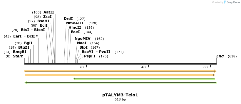 72186_map