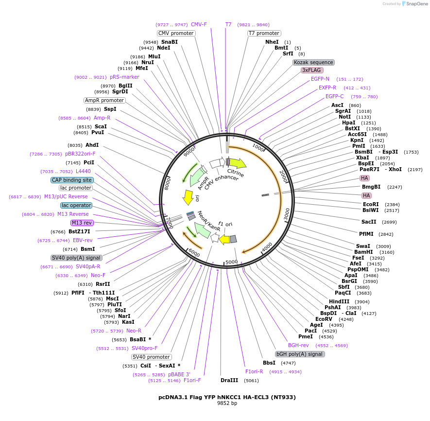 72188_map