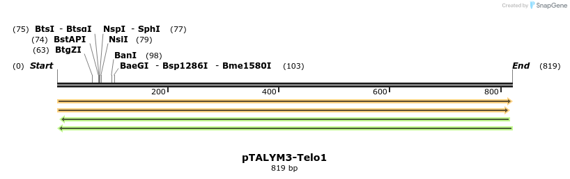 72189_map