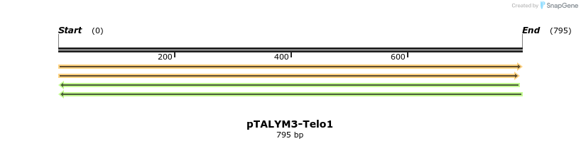 72191_map
