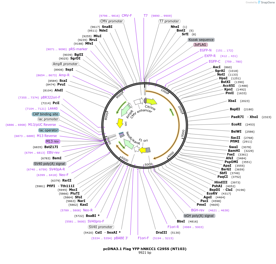 72192_map