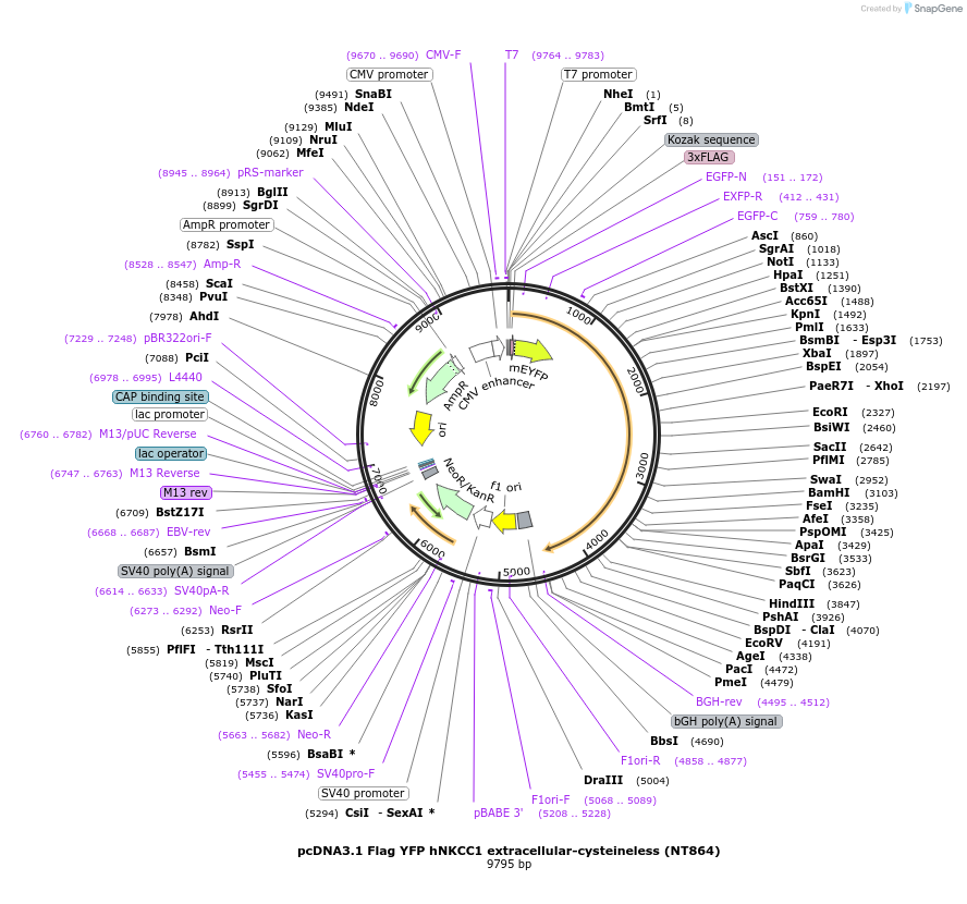 72196_map