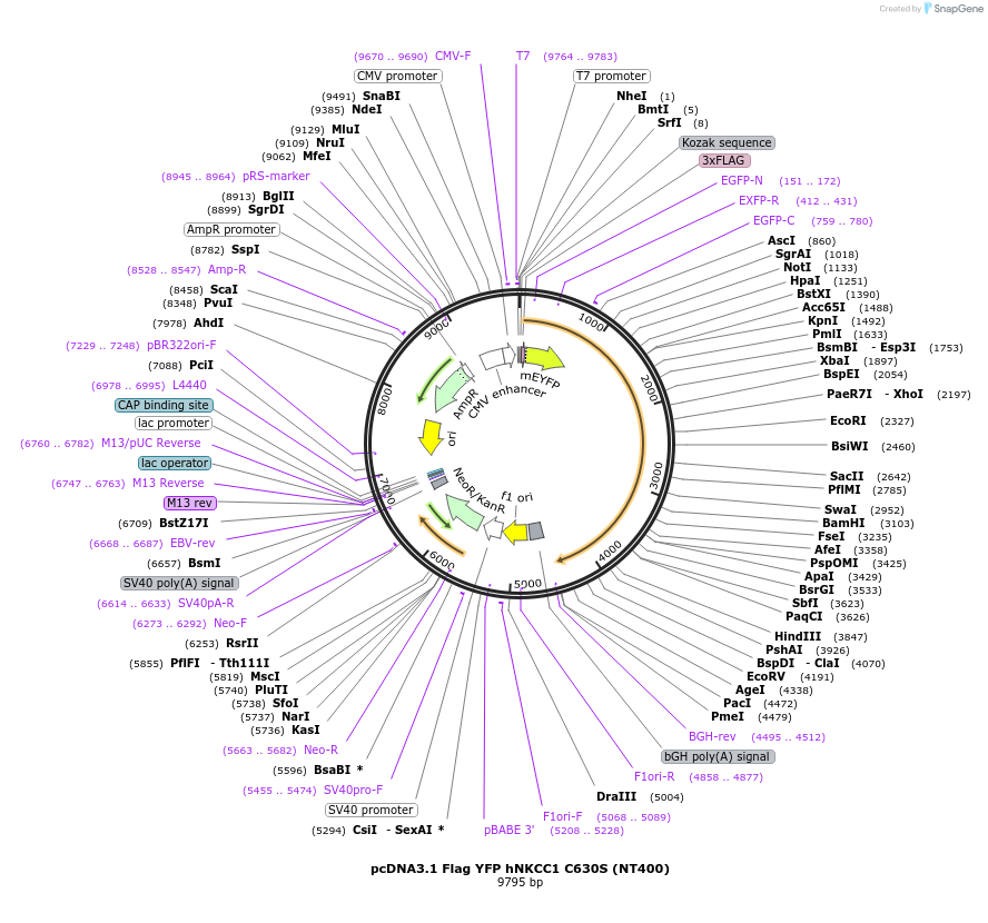 72199_map