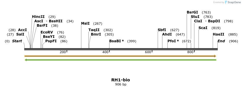 72200_map