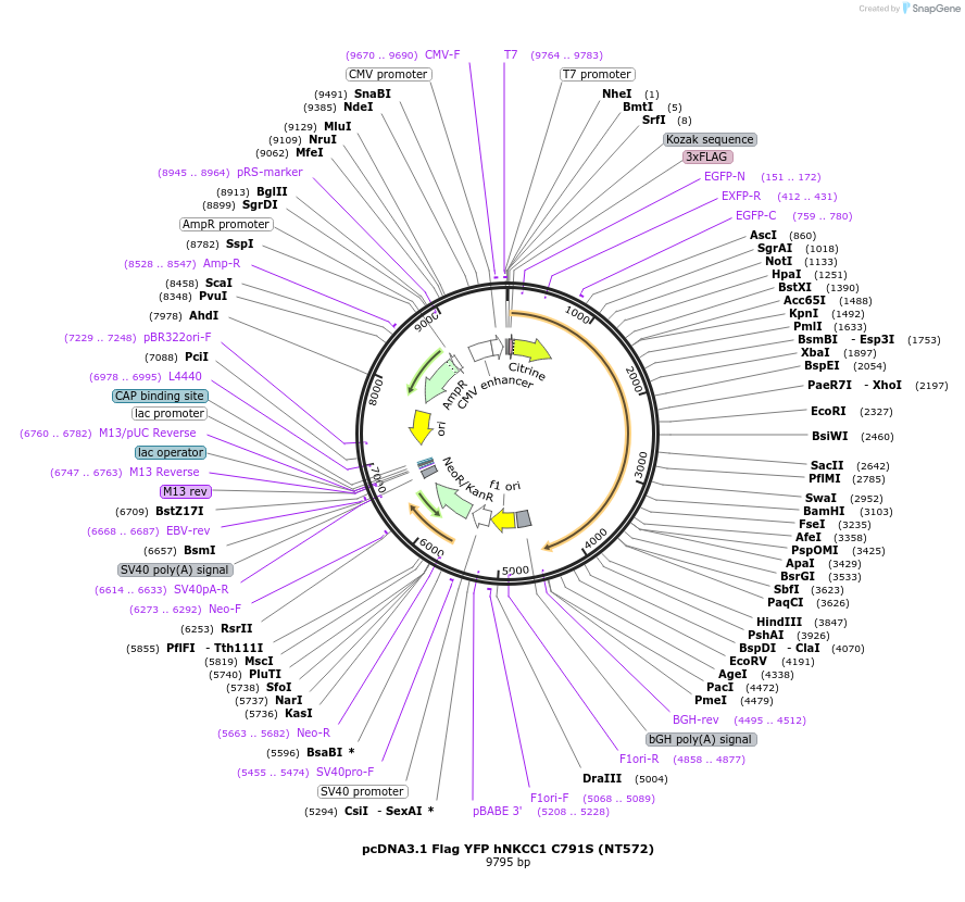 72202_map