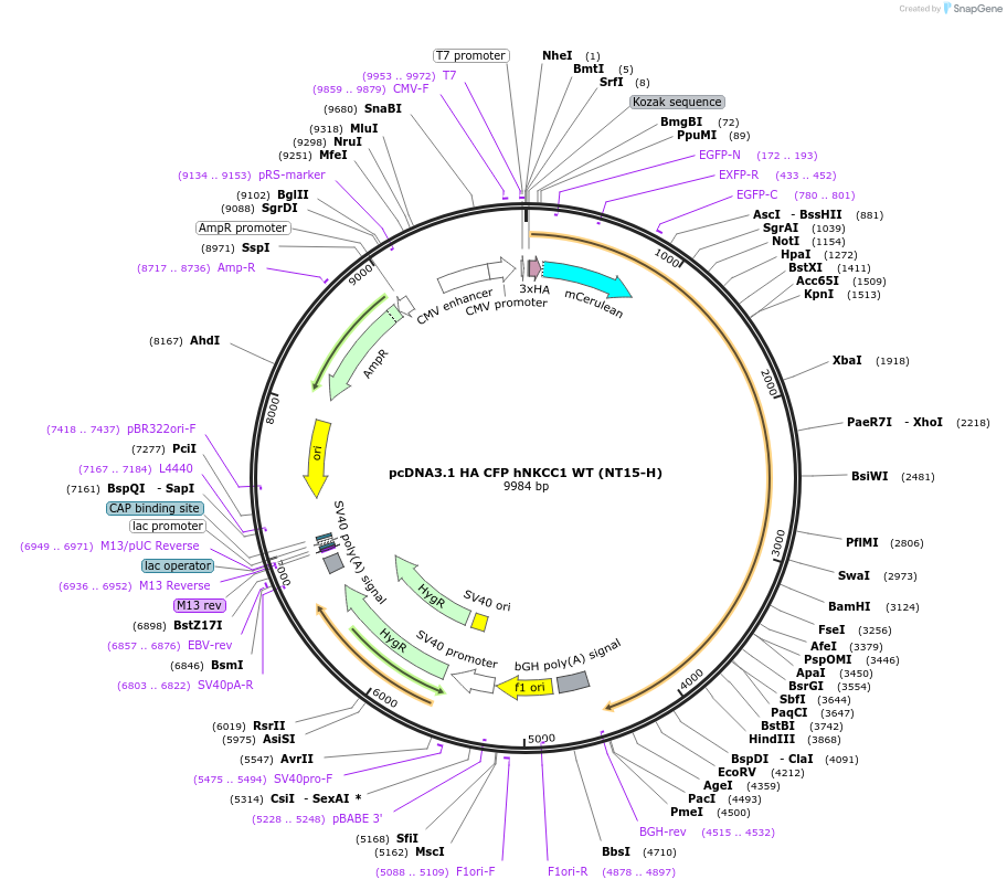 72205_map