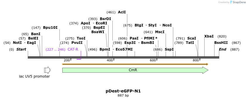 72206_map