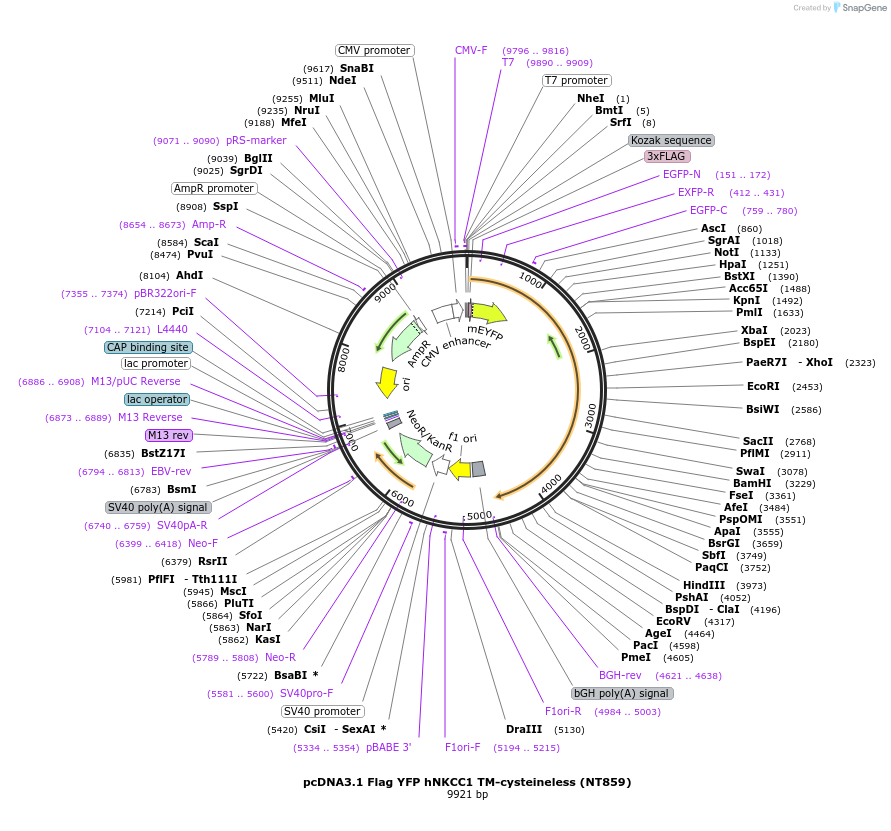 72207_map