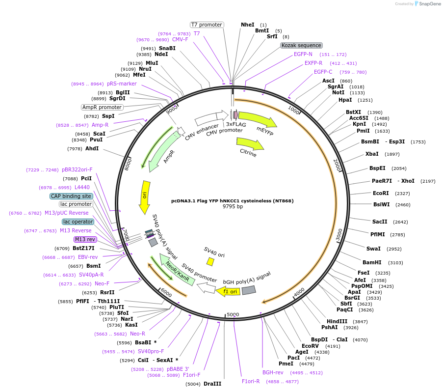 72208_map