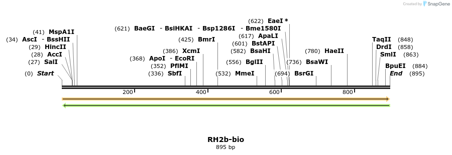72209_map