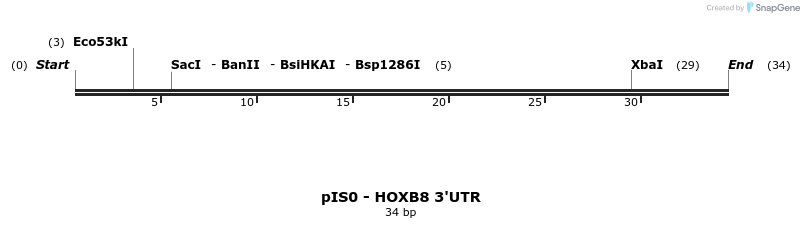 7221_map