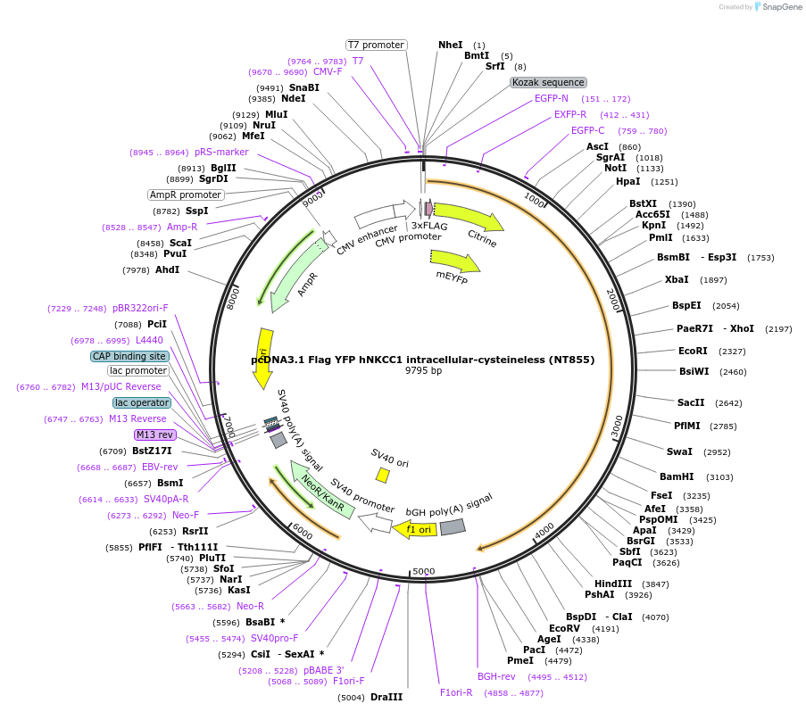 72210_map