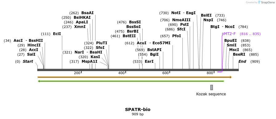 72214_map