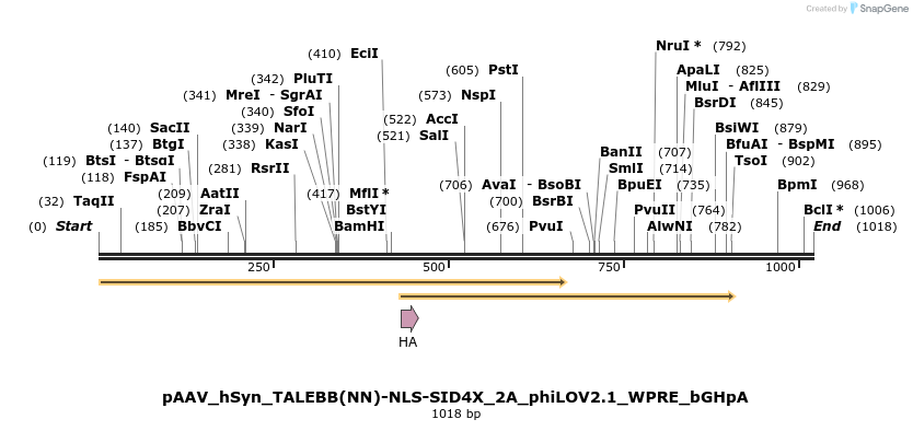 72215_map