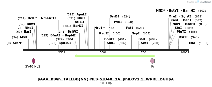 72216_map