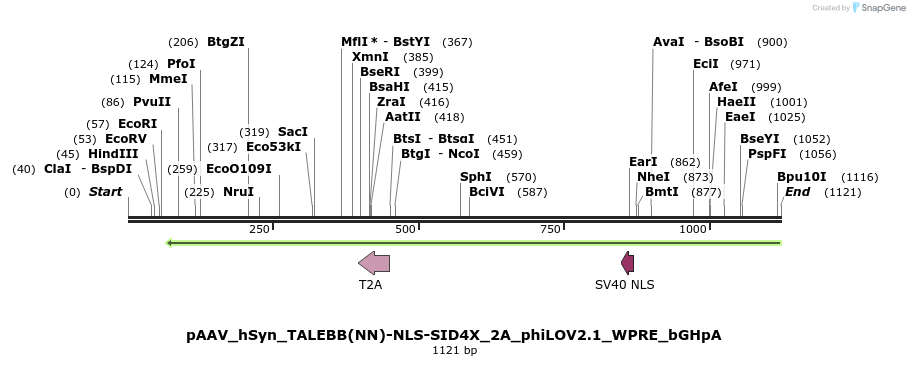 72217_map