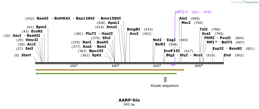 72218_map
