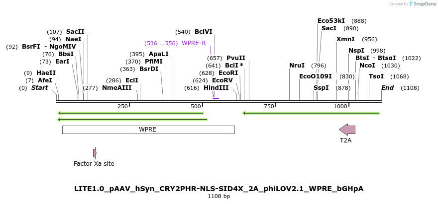72219_map