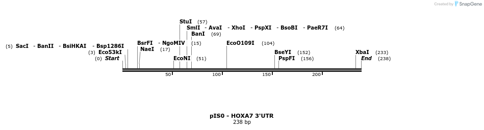 7222_map
