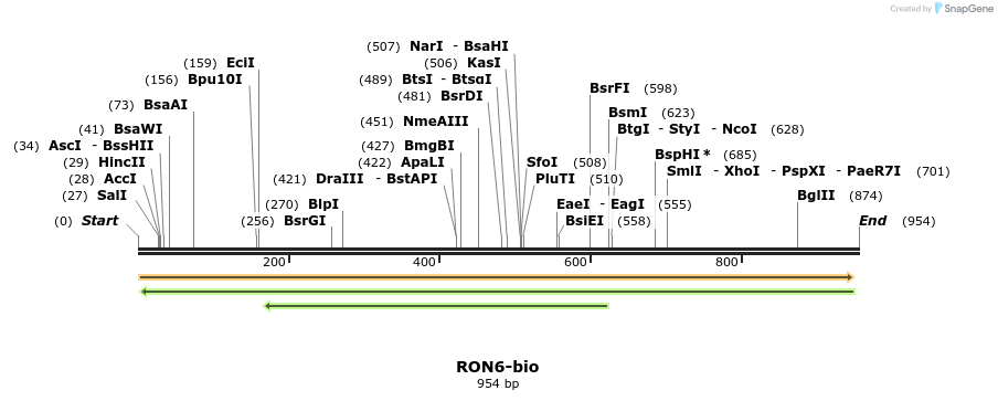 72221_map