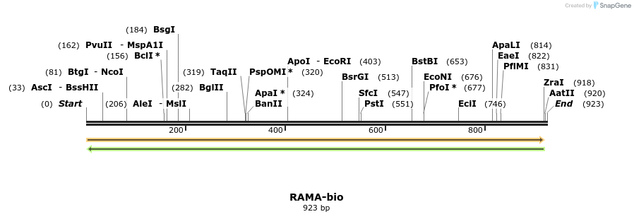 72222_map
