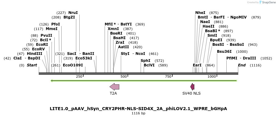 72223_map