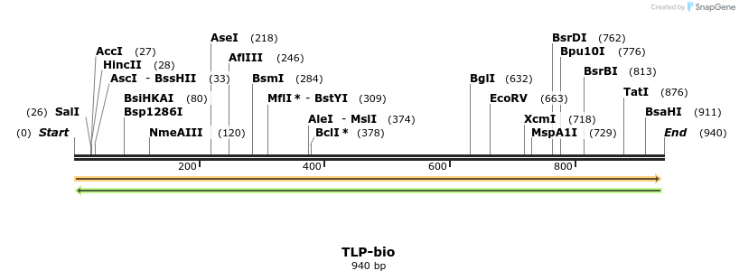 72224_map