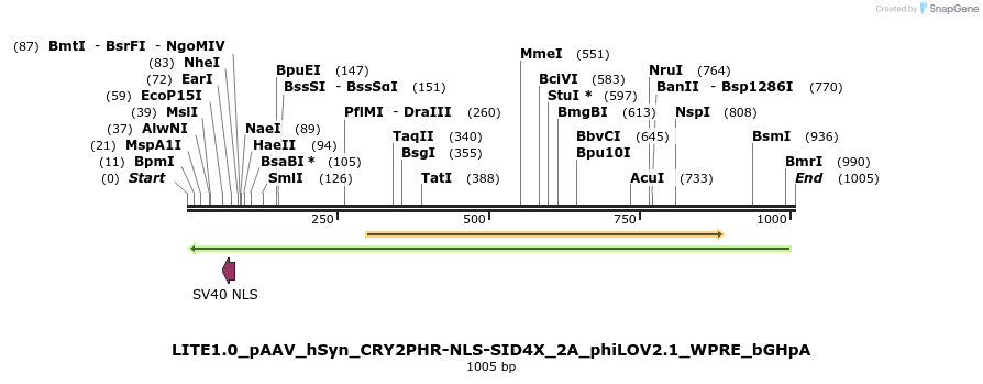 72225_map