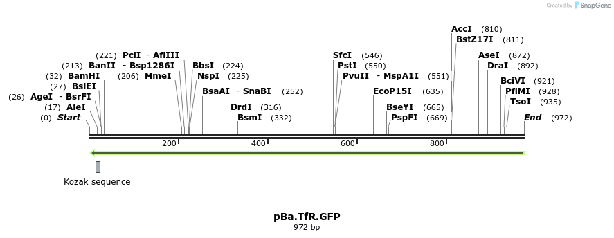 72226_map