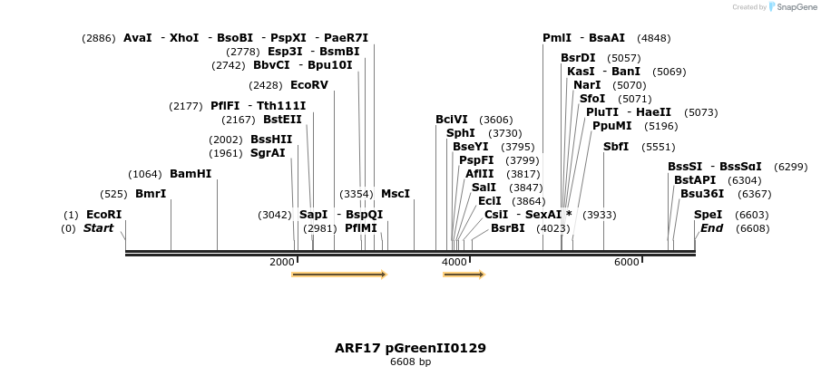 7223_map