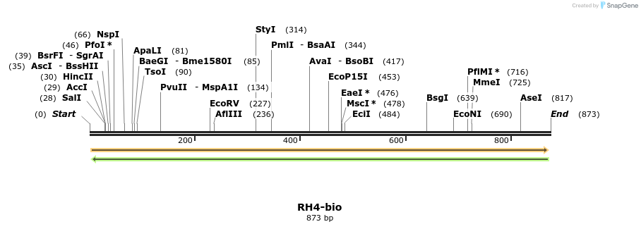 72232_map