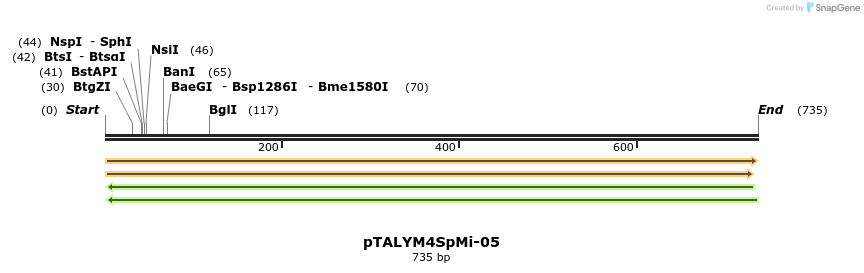 72238_map