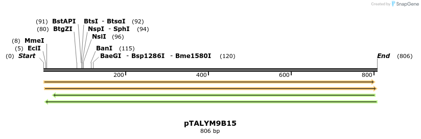 72241_map