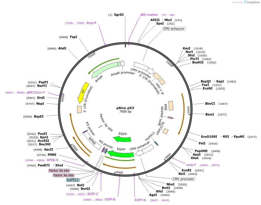7225_map