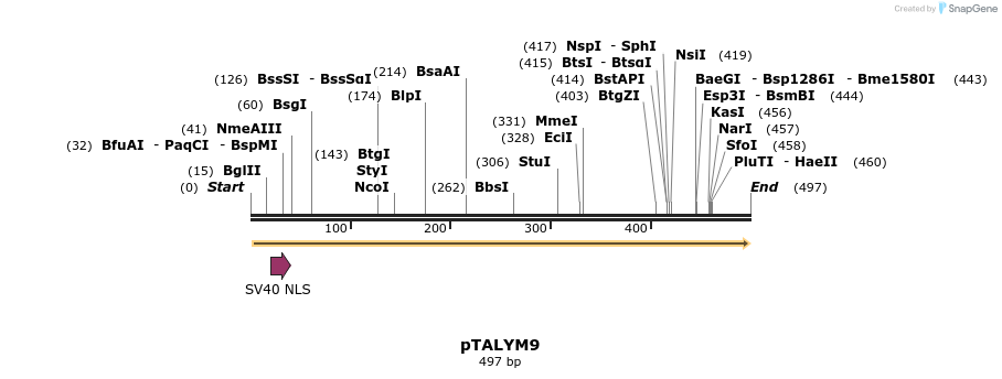 72262_map