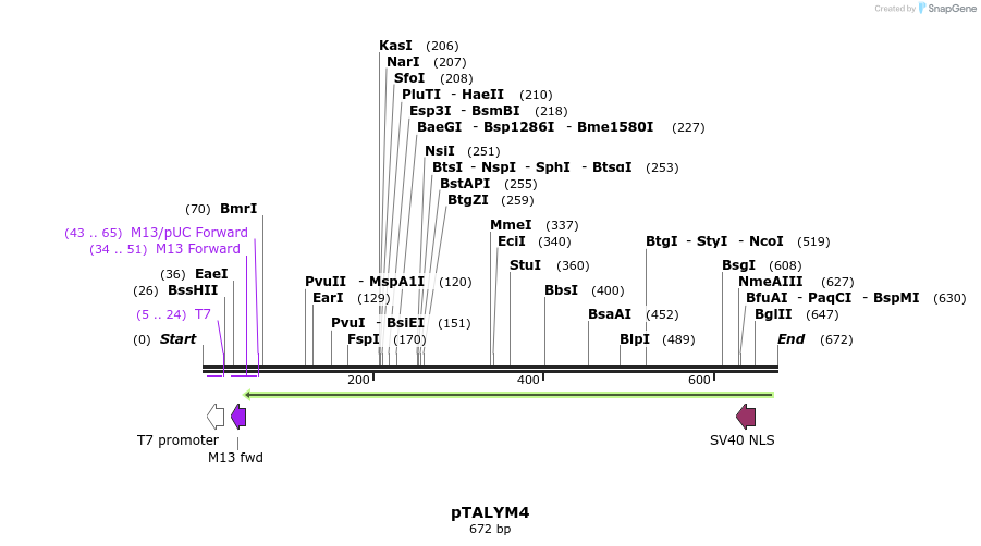 72264_map