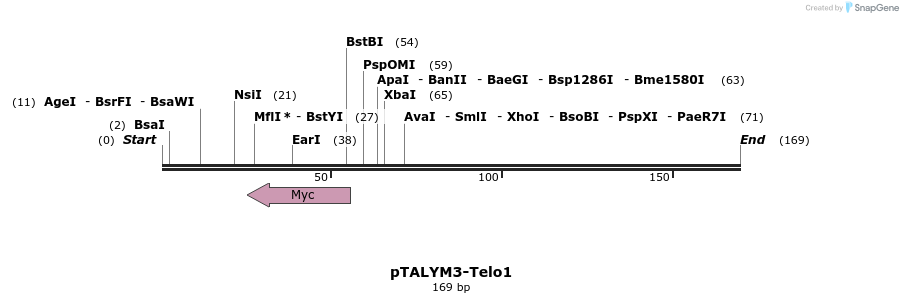 72272_map