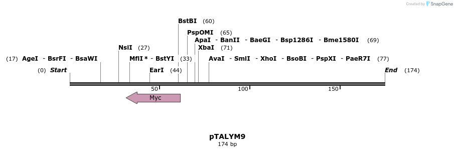 72273_map