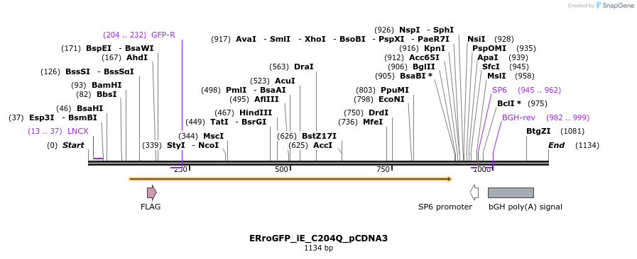 72276_map