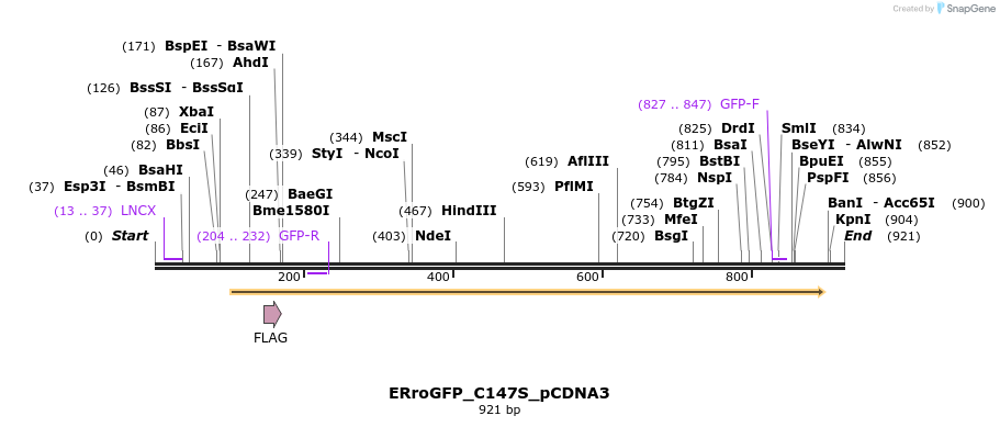 72278_map