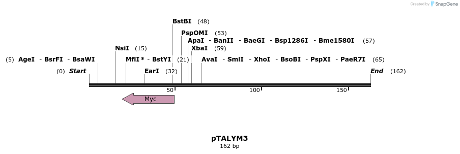 72279_map