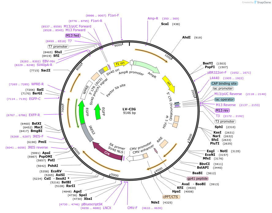 7228_map
