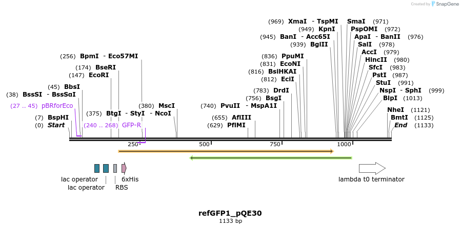 72281_map