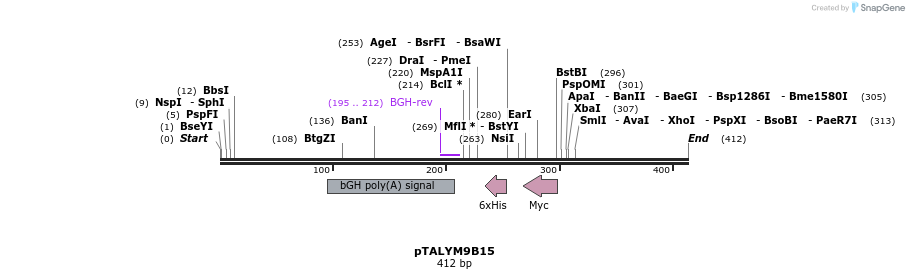 72284_map