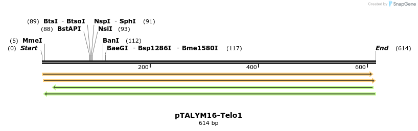 72285_map